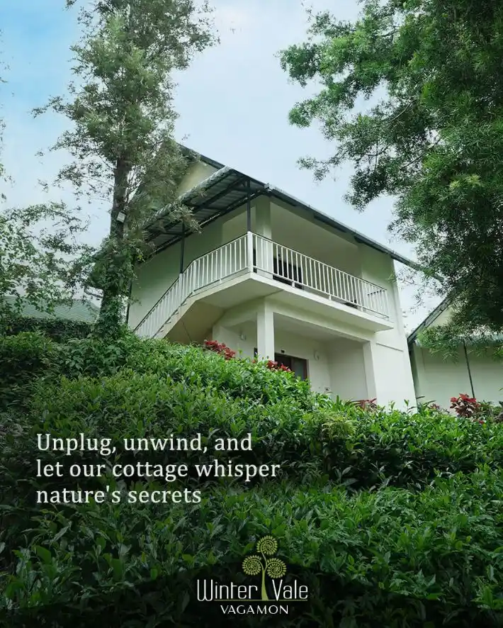 wintervale greenstay-eco tourism resort-blog-hero image