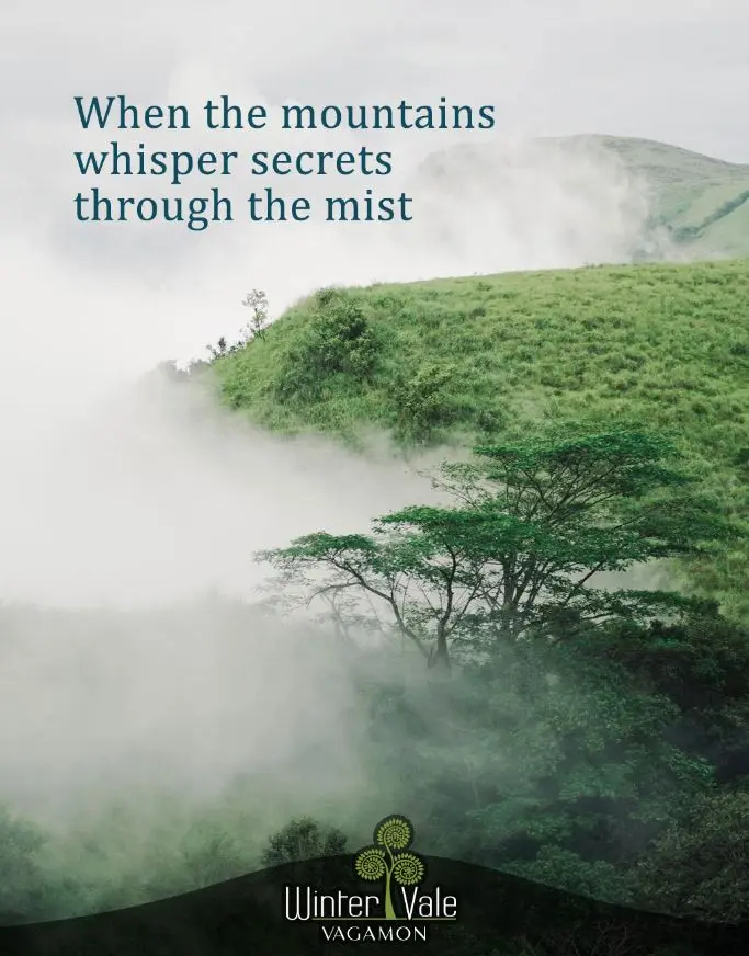 Which is Better Vagamon or Wayanad ?