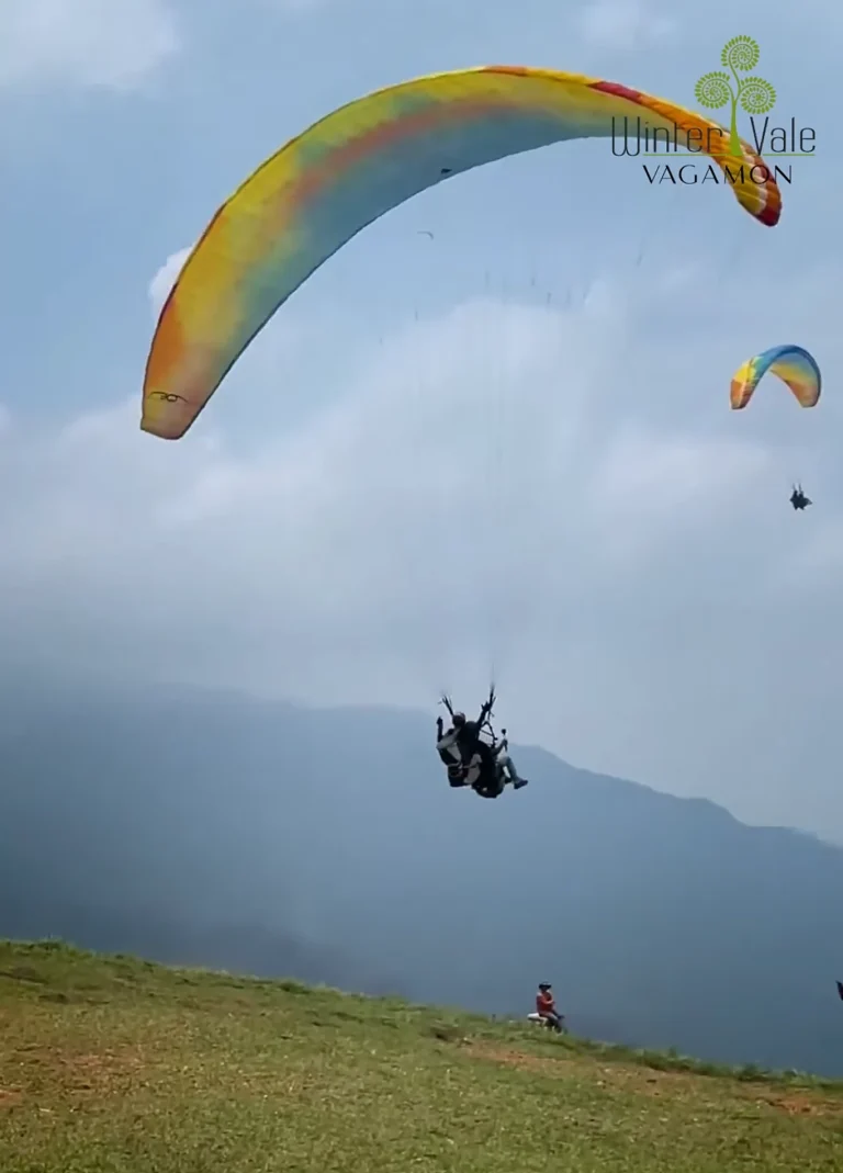 indoor and outdoor activities-best resort in vagamon for families