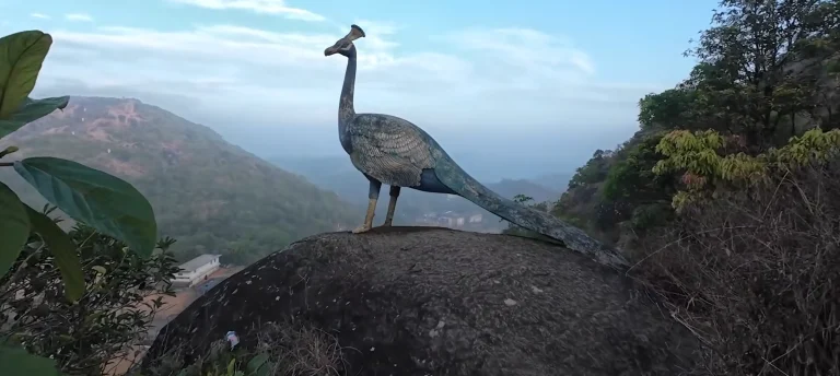 murugan hill vagamon