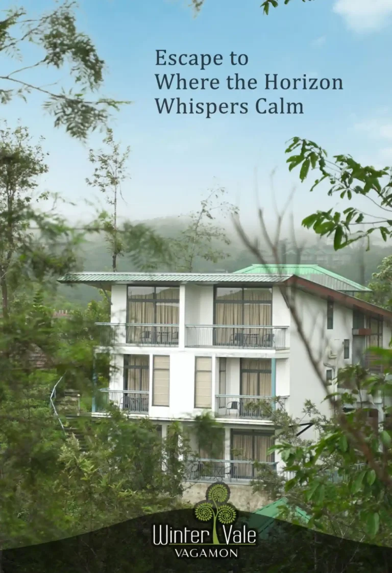 Why Wintervale Greenstay is a Must-Stay Resort in Kerala?