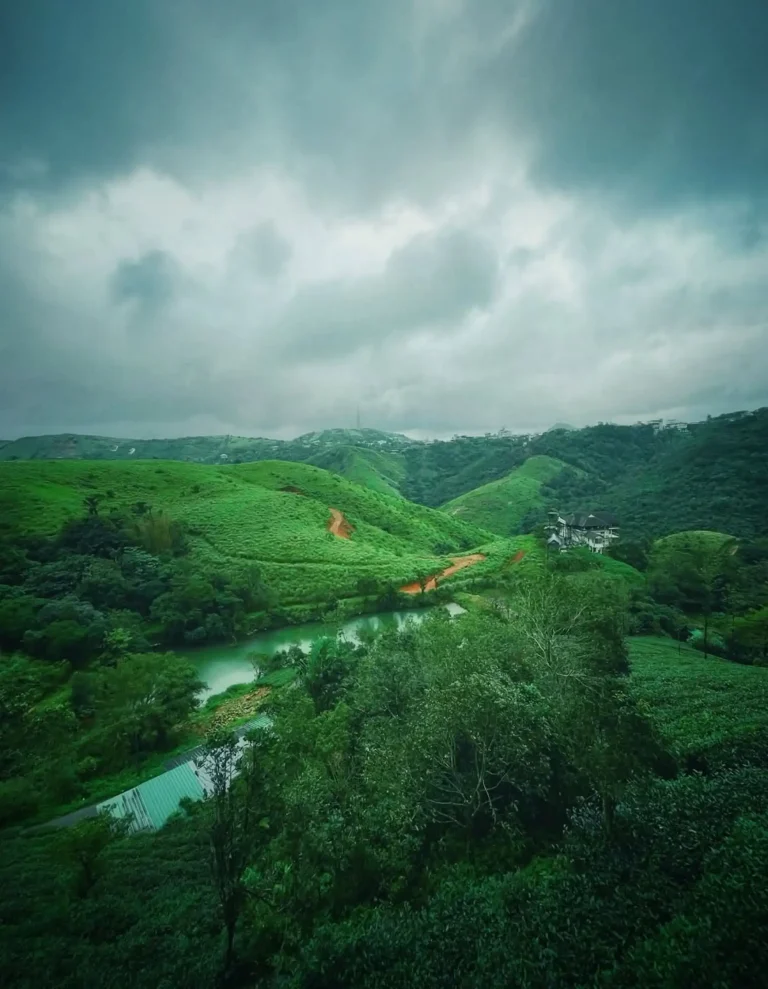 vagamon meadows