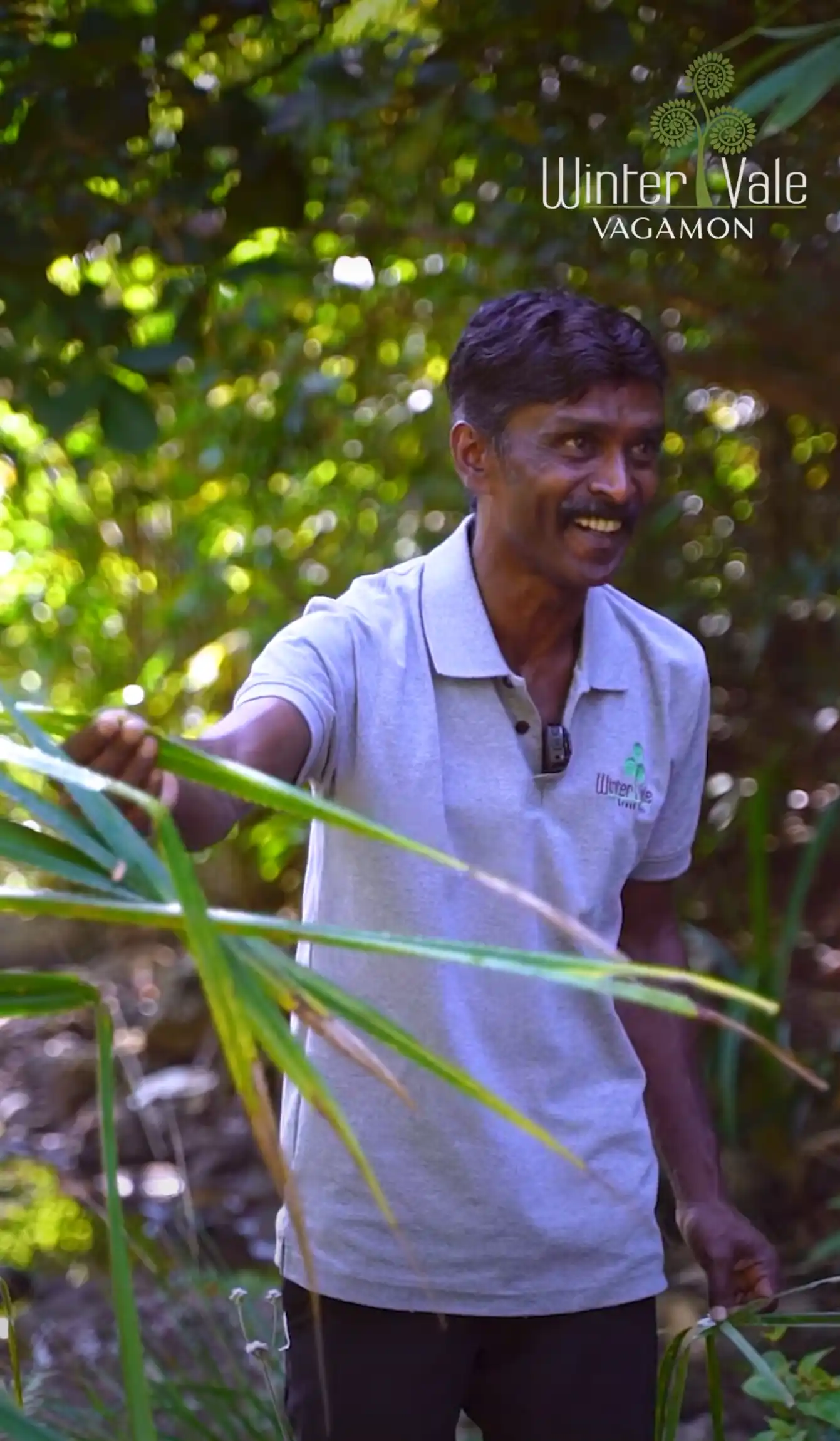 mahesh chettan wintervale greenstay