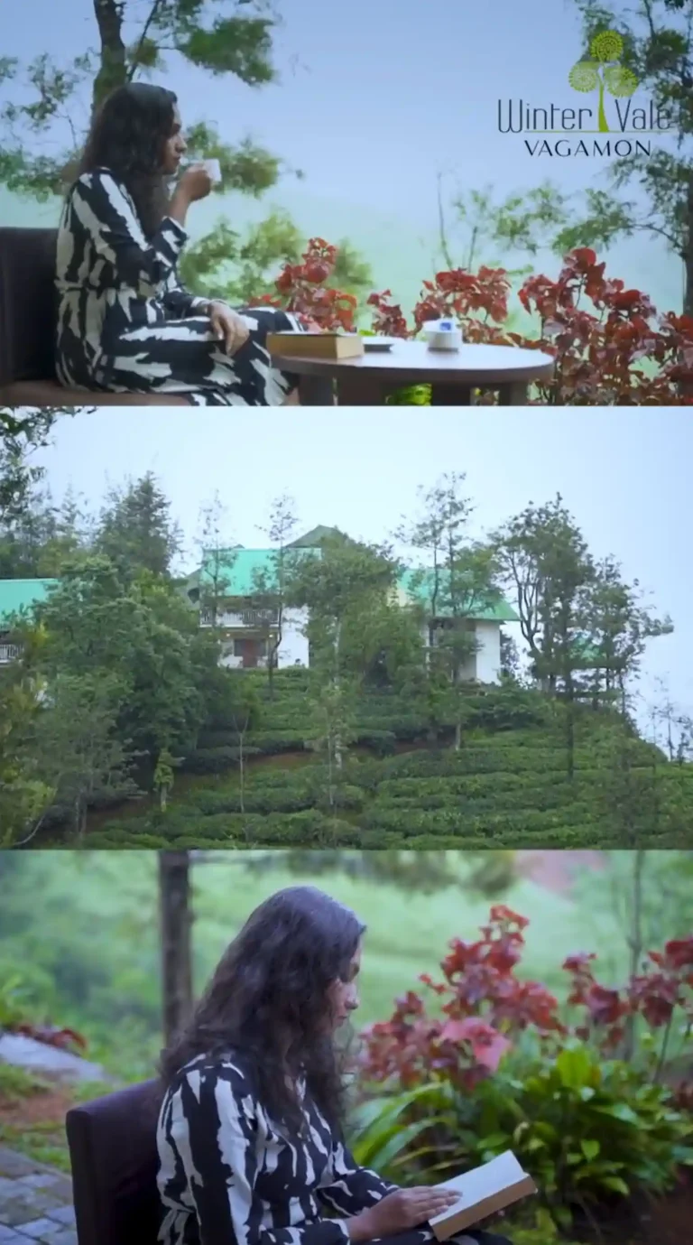 wintervale greenstay- first time visitor in vagamon